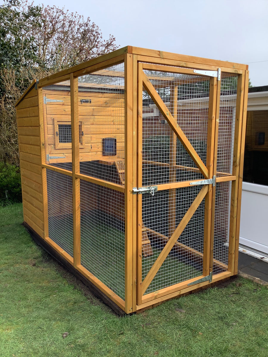 Chicken coop cat enclosure shop