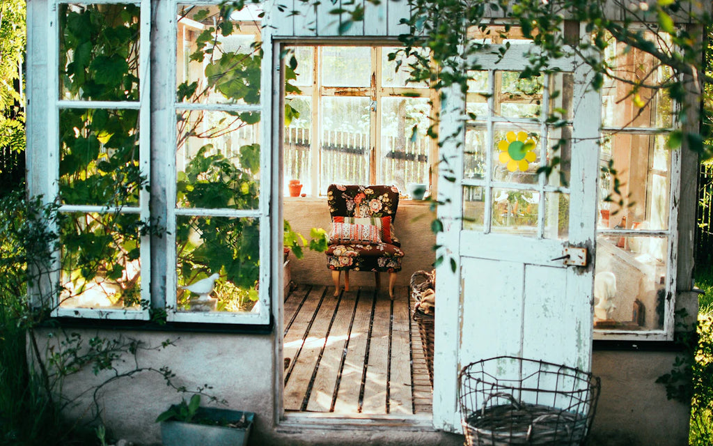 Creating a Safe Outdoor Space for Your Pets A Complete Guide