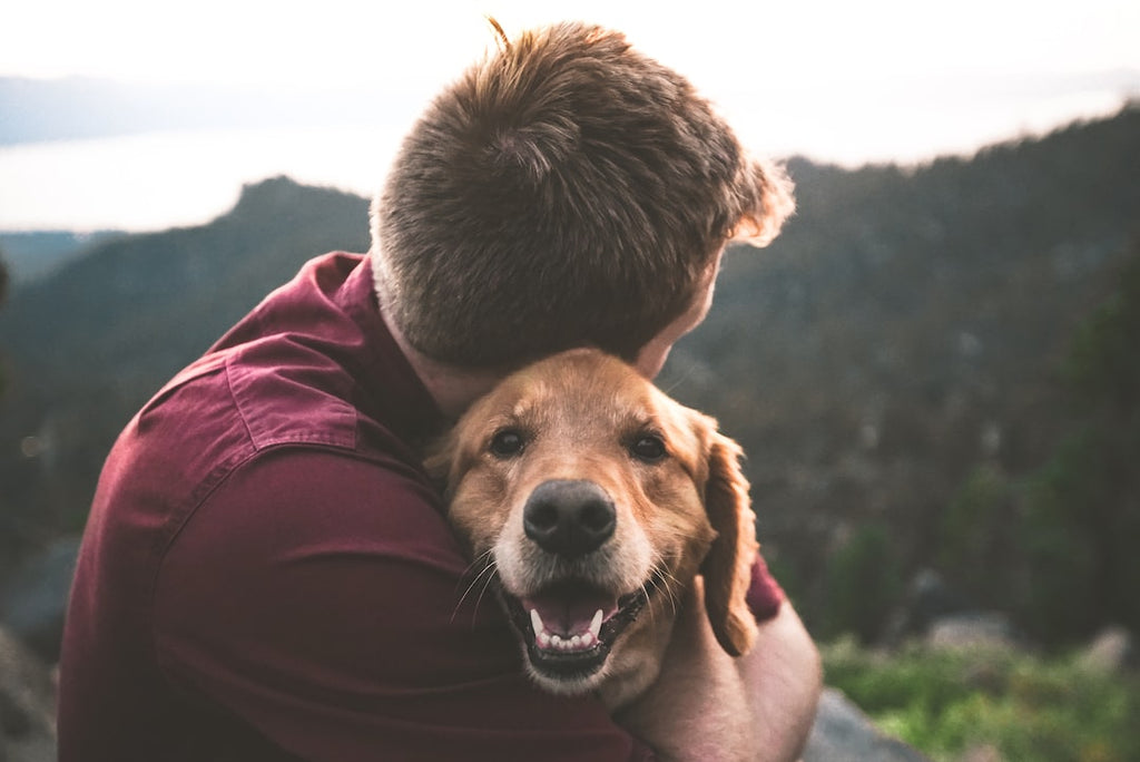 The Benefits of Adopting a Rescue Pet