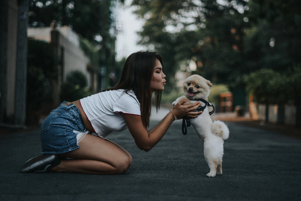 Essential Training Tips for First-Time Pet Owners