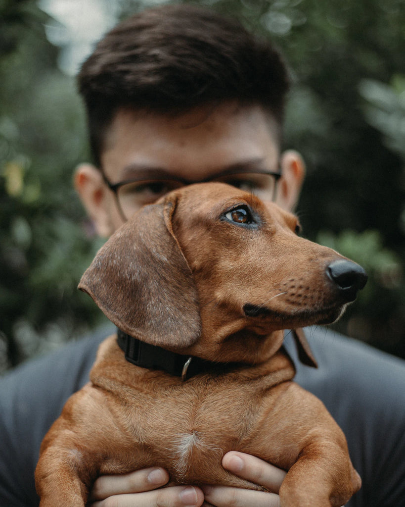 Unlock Peace of Mind with Pet Health Insurance