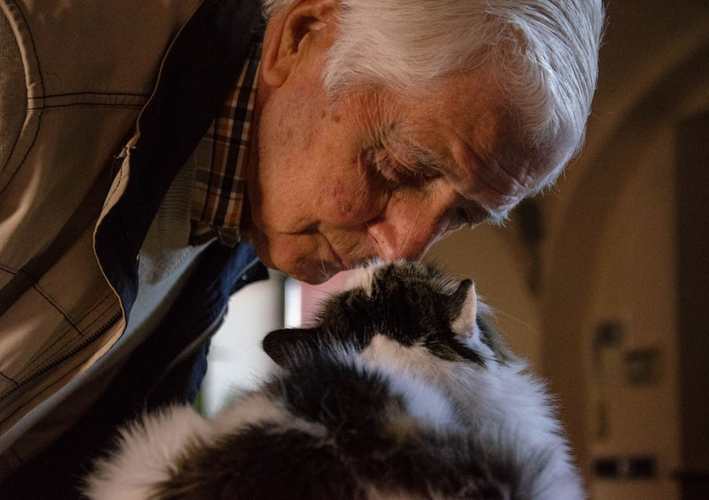 Caring for Senior Pets: What You Need to Know