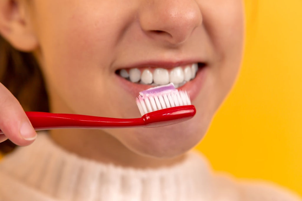 The Importance of Pet Dental Care for Happy and Healthy Pets