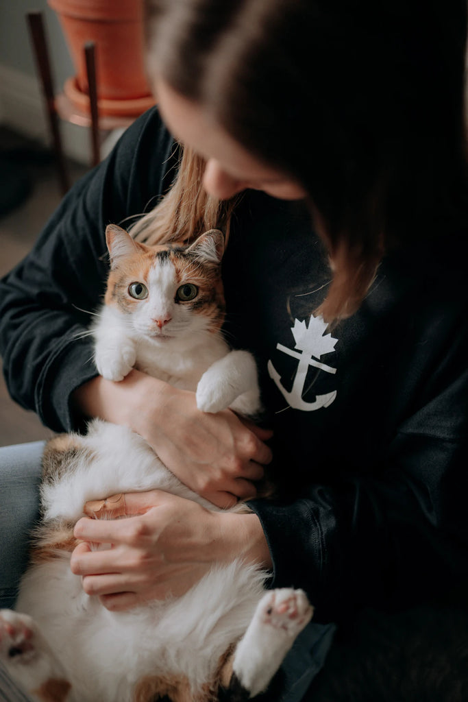 Mastering Pet Anxiety Effective Strategies for Pet Parents
