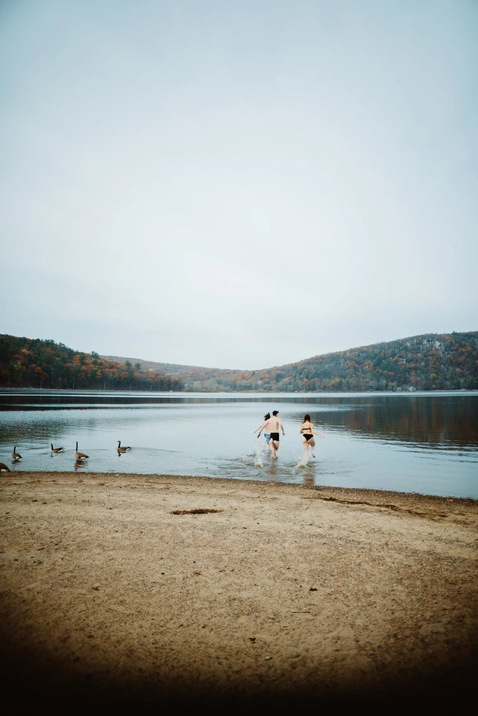 Explore Pet-Friendly Travel Destinations This Year