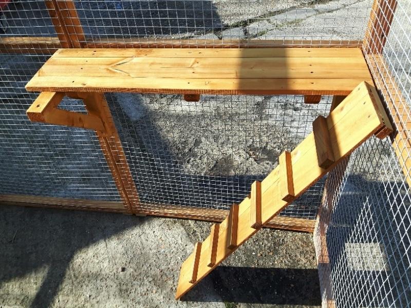 3 sided catio - UK KENNELS