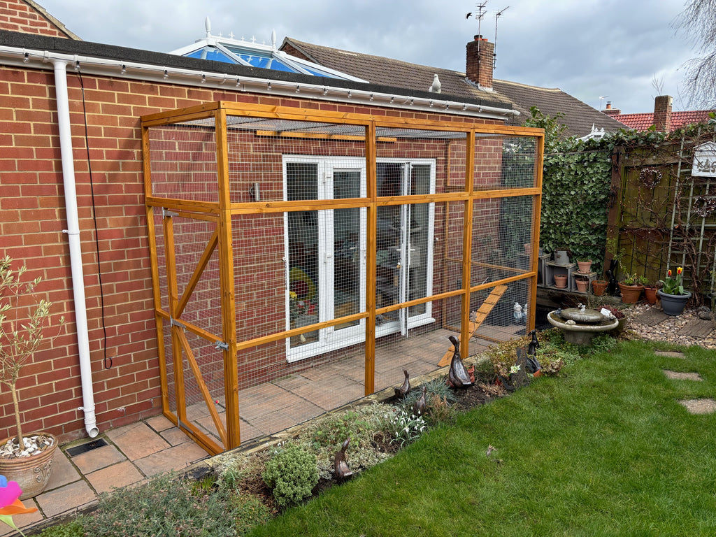 Catio, 3 sided, cat run, enclosure, garde